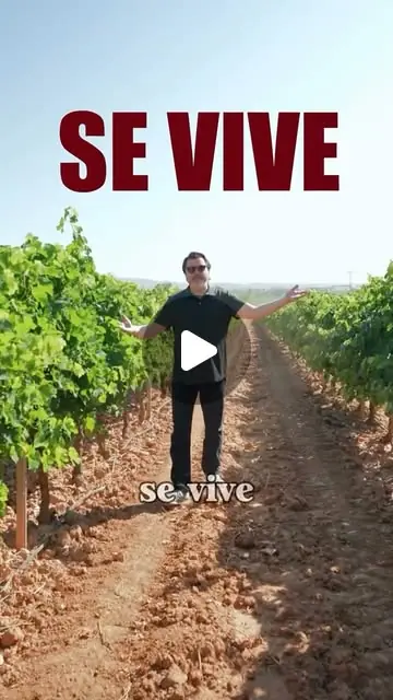 Reel de Bodegas Vegalfaro sobre el origen de sus vinos en la viña